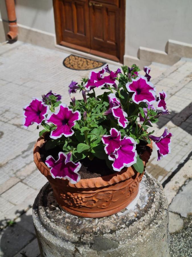Apartmán Voltamare Castellammare del Golfo Exteriér fotografie